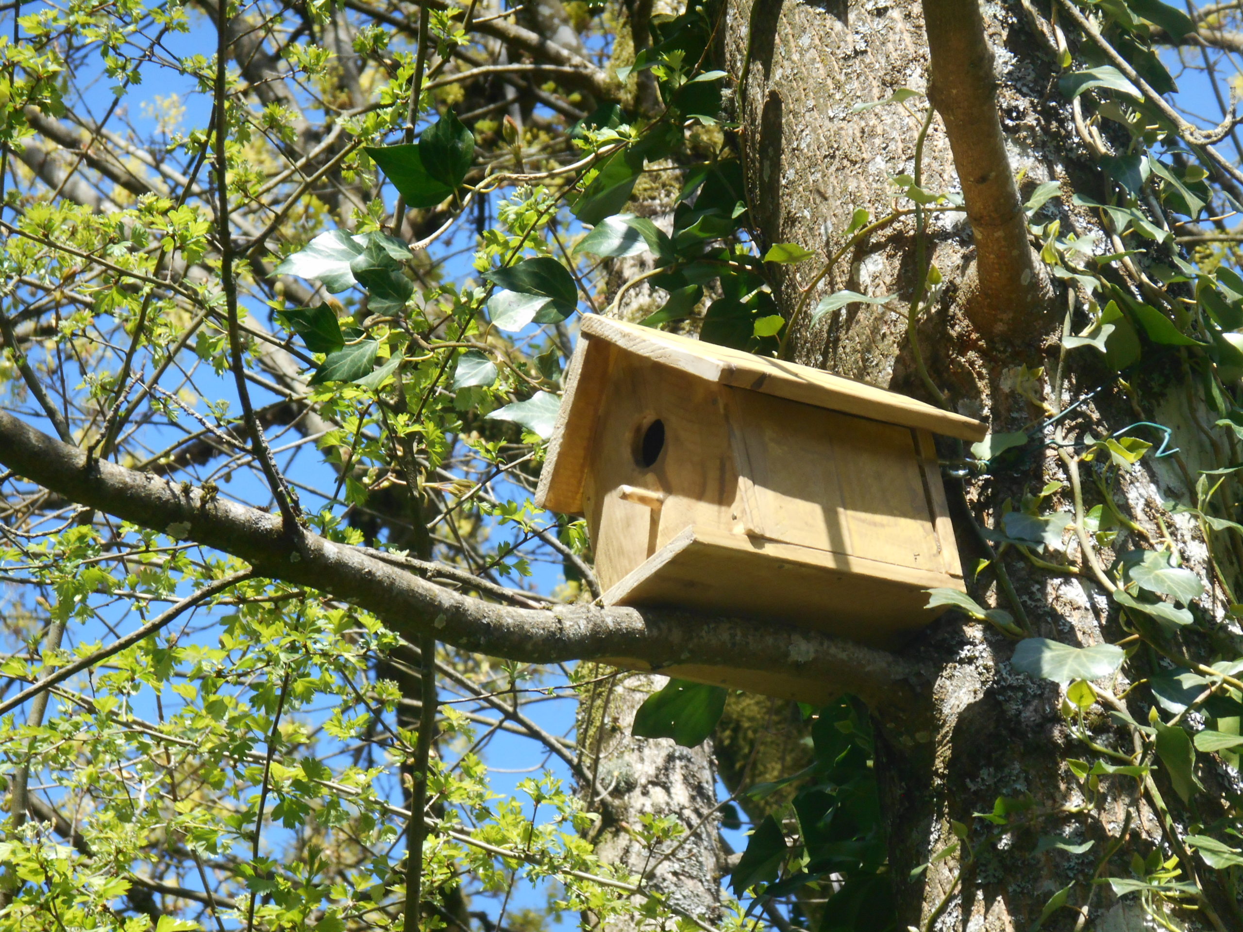 CCAS : ateliers ludiques et environnement