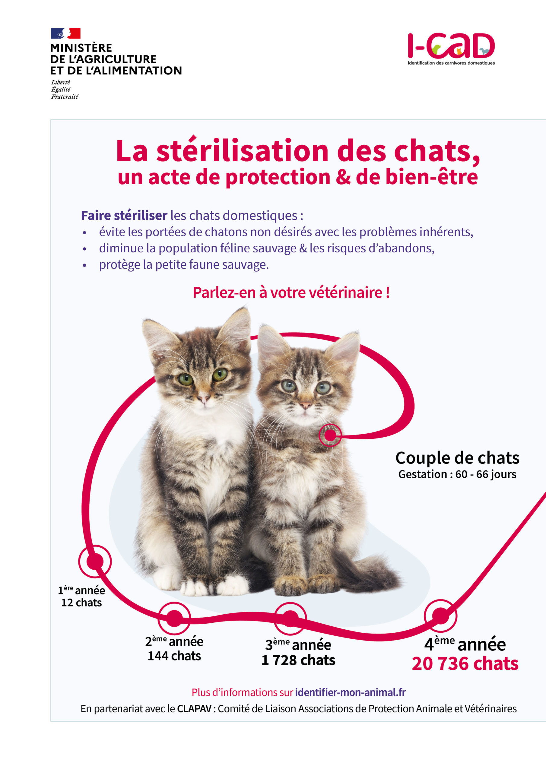 Campagne de stérilisation des chats errants