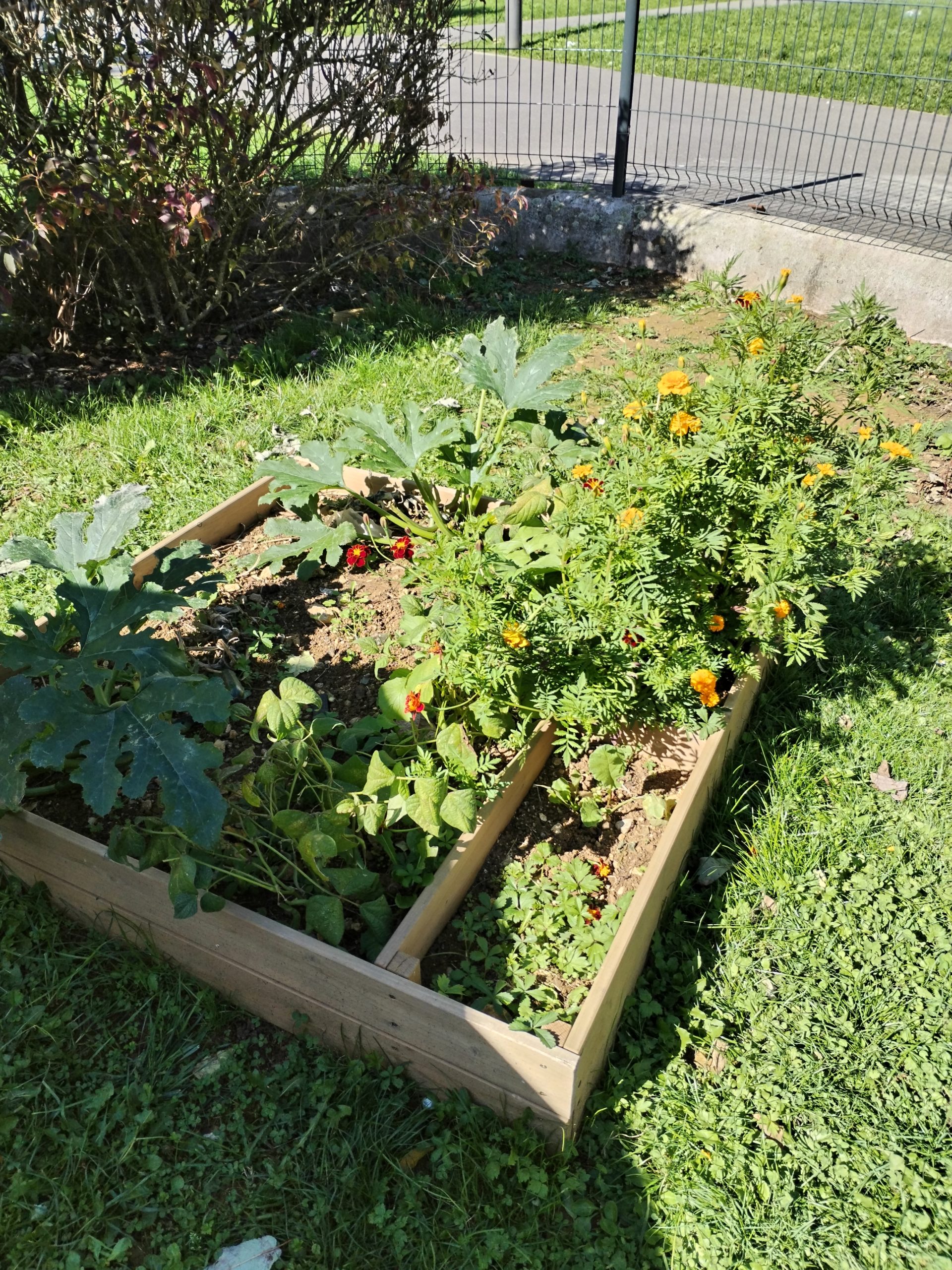 Les tout-petits jardiniers en herbe