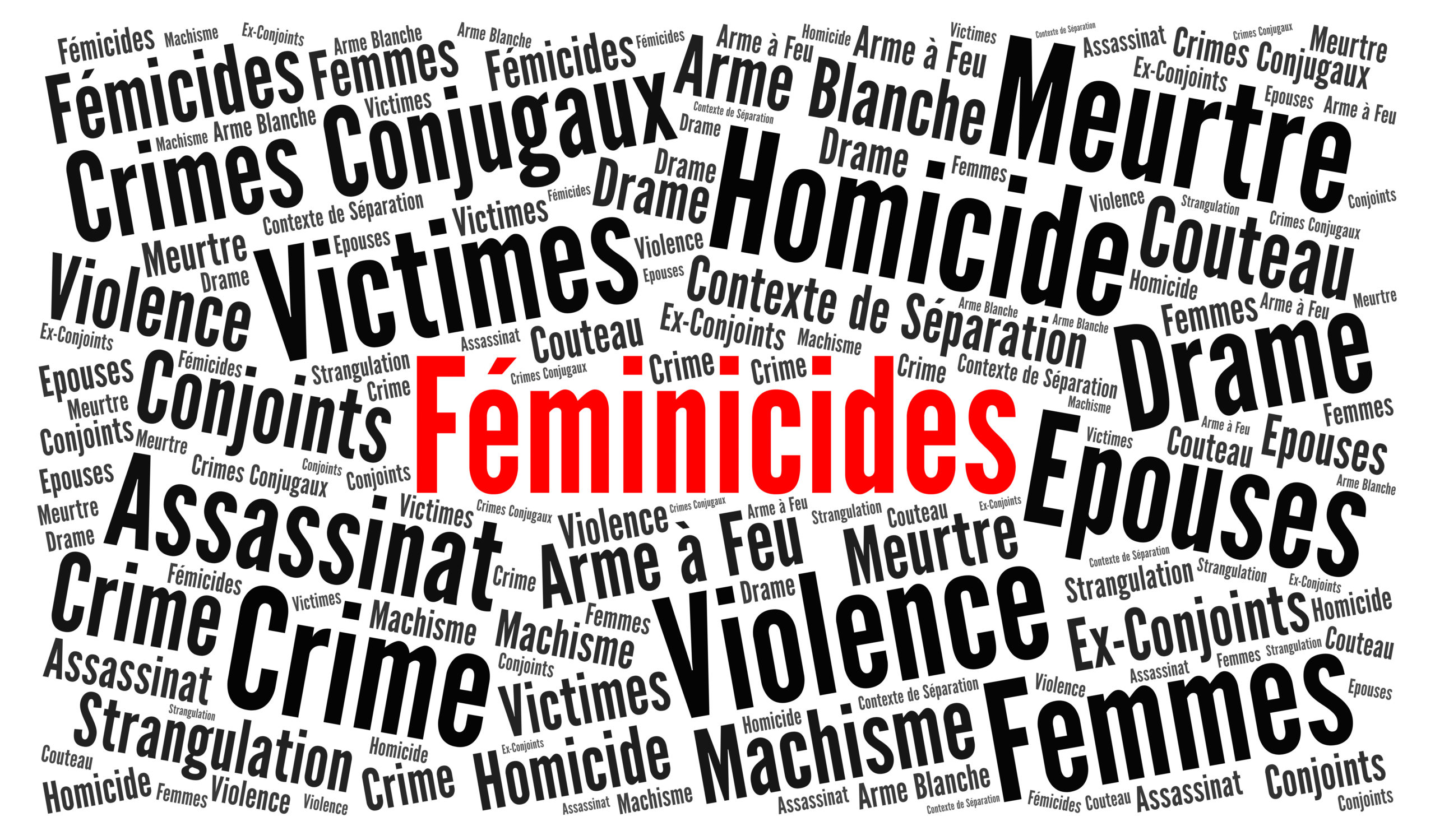 Journée de lutte contre les violences faites aux femmes